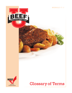 Glossary of Beef Terms