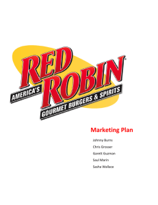 Project Red Robin Marketing Plan