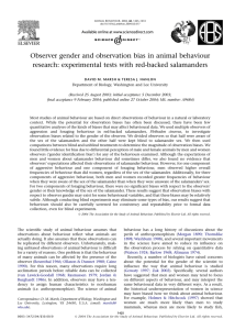 Observer gender and observation bias in animal