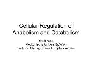 Cellular Regulation of Anabolism and Catabolism