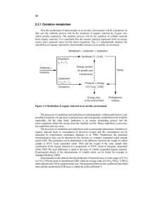 2.3.1 Oxidative metabolism - Online Handbook Biological