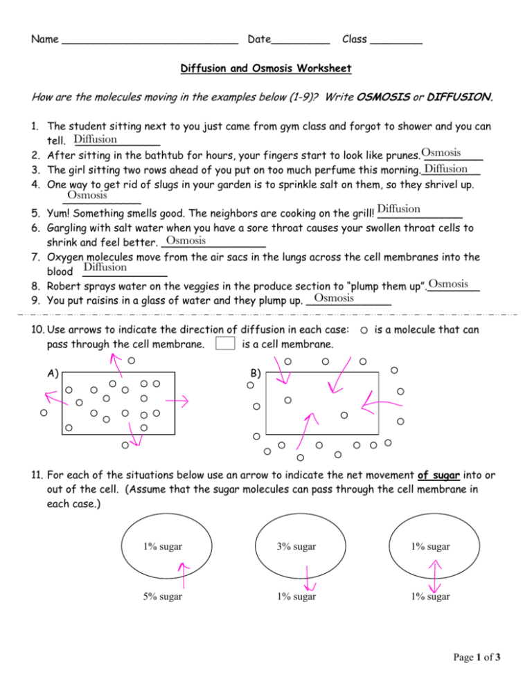 Diffusion And Osmosis Worksheet Answers Page 2