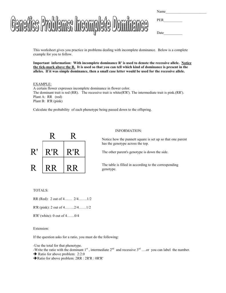 Incomplete Dominance Worksheet