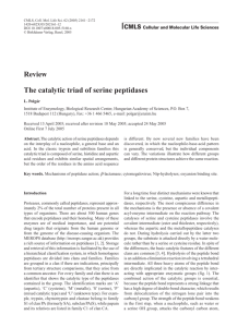 Review The catalytic triad of serine peptidases