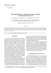 Bacteriophage Receptors, Mechanisms of Phage Adsorption and