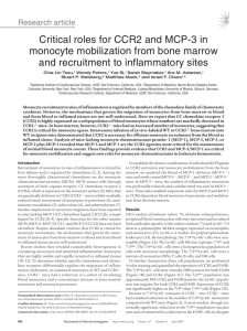 Critical roles for CCR2 and MCP-3 in monocyte mobilization from