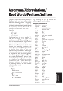 Root Words/Prefixes/Suffixes