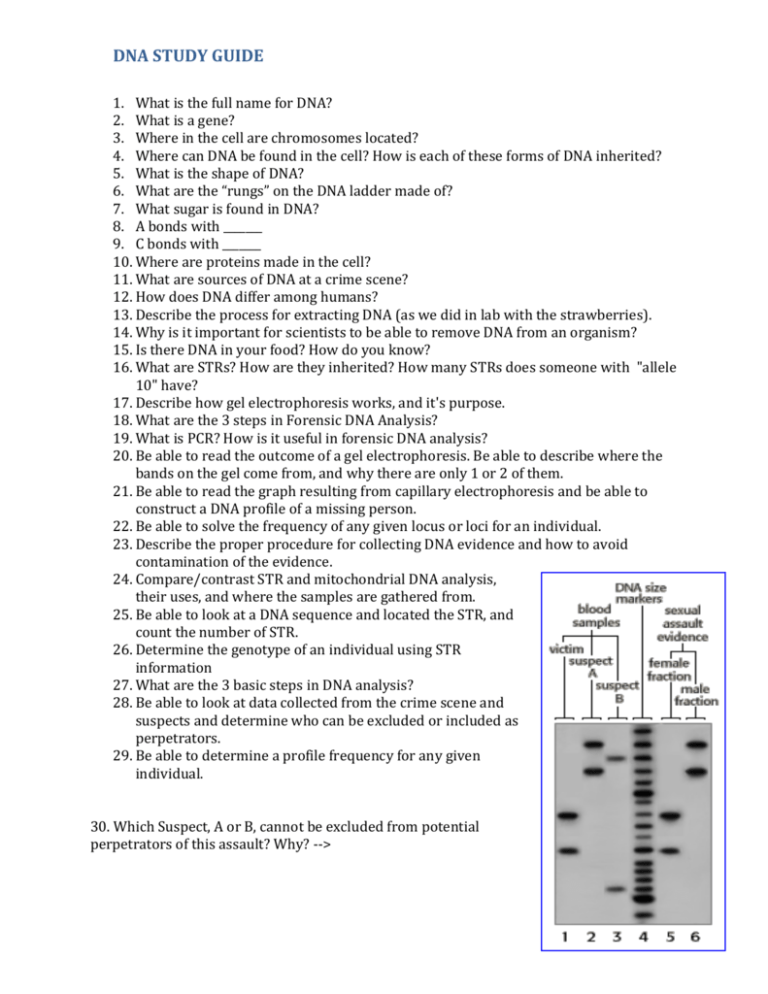 dna-vs-rna-5-key-differences-and-comparison-b-t-ch-xanh