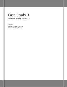 Case Study 3 - Kimberly Tierney's Portfolio of Qualifications