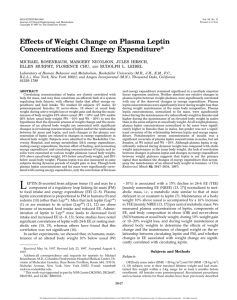 Effects of Weight Change on Plasma Leptin Concentrations and