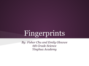 Fingerprints - Yinghua Academy