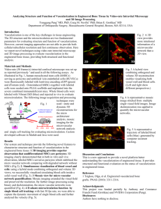 Analyzing Structure and Function of Vascularization