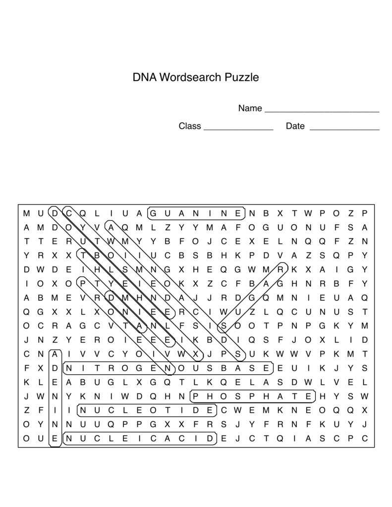 Dna Word Search