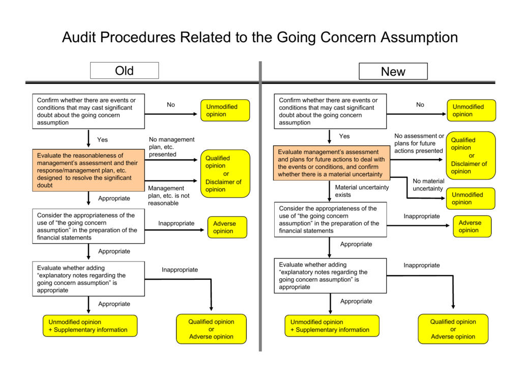 audit procedures related to the going concern assumption pdf project p&l template income statement meaning in business
