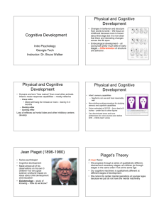 Cognitive Development Physical and Cognitive Development