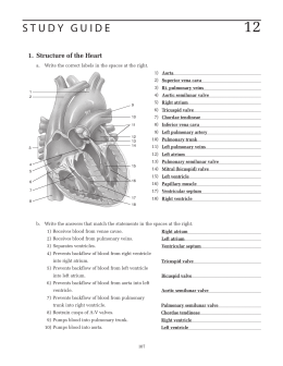 Cardiovascular disorders case study 2 picture