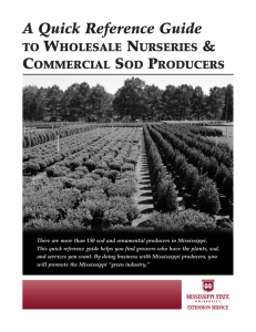 P2348 A Quick Reference Guide to Wholesale Nurseries