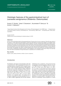 Histologic features of the gastrointestinal tract of Laonastes