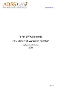 BEx User Exit Variables