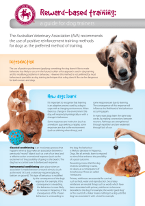 Reward-based training - Australian Veterinary Association