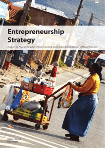 Entrepreneurship Strategy