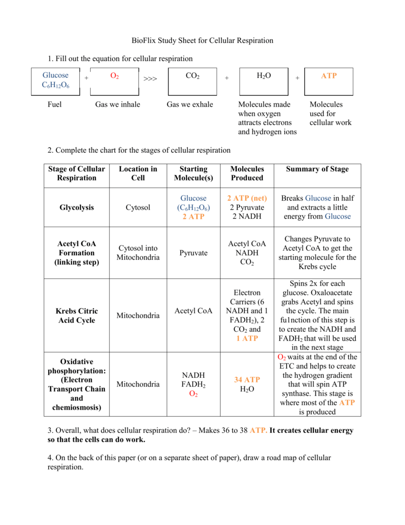 BioFlix Study Sheet For Cellular Respiration 1 Fill Out The Equation