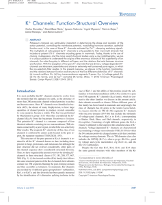 K Channels: Function-Structural Overview