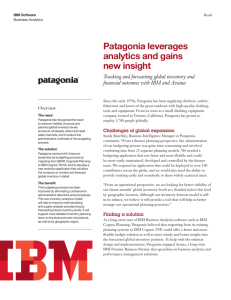 patagonia case study