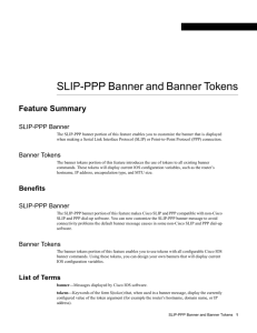SLIP-PPP Banner and Banner Tokens