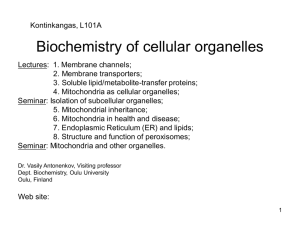 Active transport