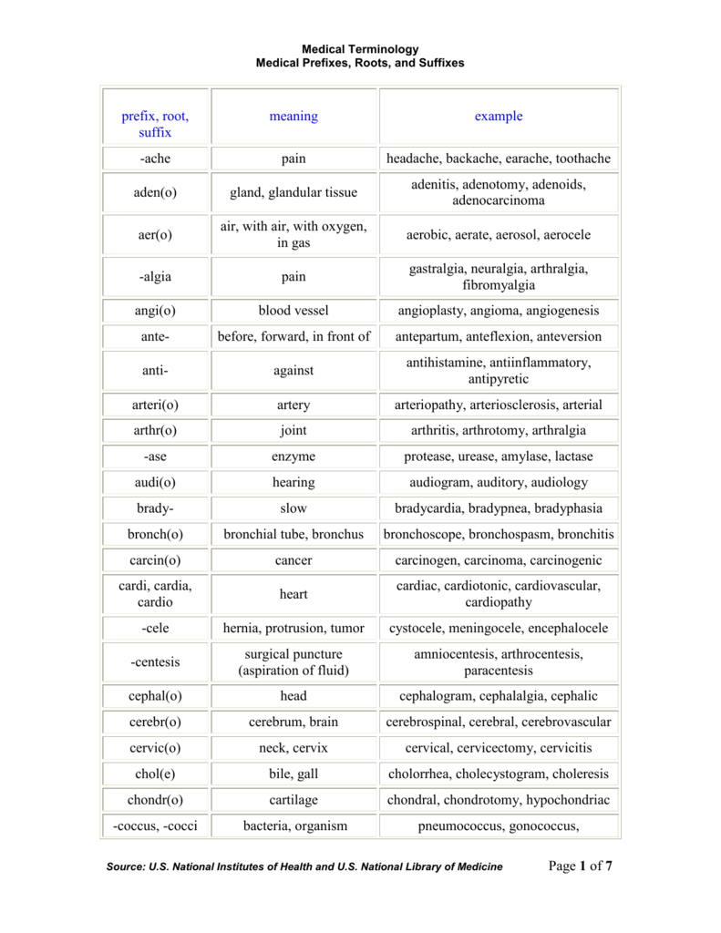 suffix endo meaning