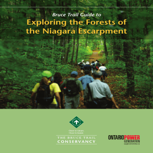 Exploring the Forests of the Niagara Escarpment