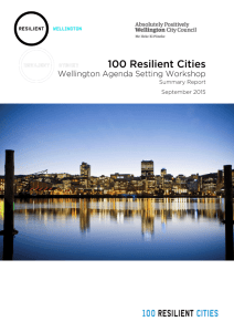 Wellington Agenda Setting Workshop Summary Report 2015