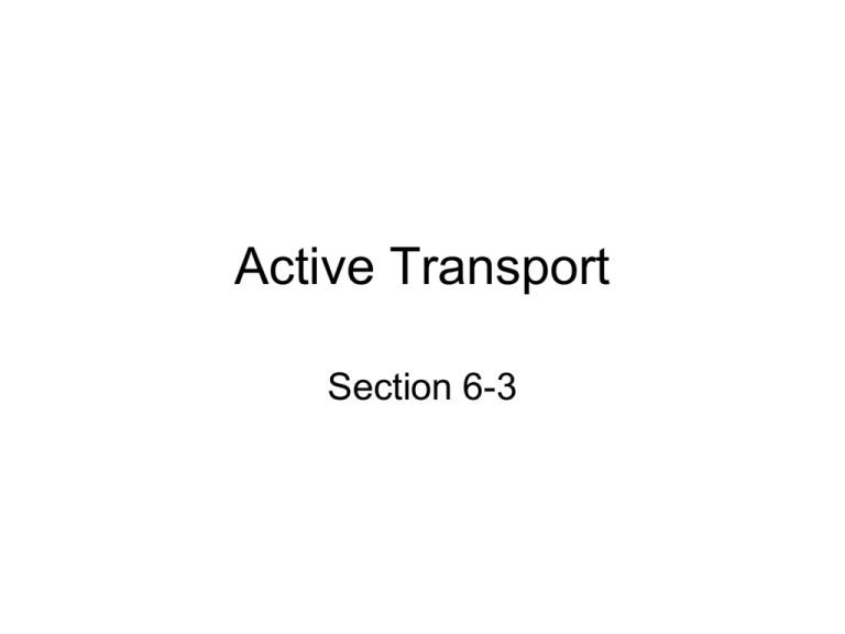 Active Transport