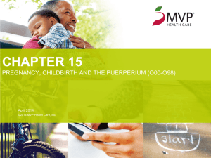 Chapter 15: Pregnancy, Childbirth, and the