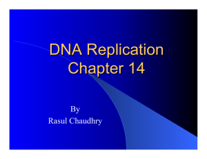 DNA Replication Chapter 14