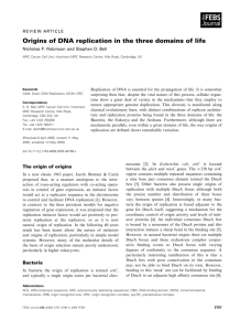 Origins of DNA replication in the three domains of life