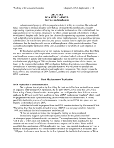 Working with Molecular Genetics Chapter 5, DNA Replication I, v2 1