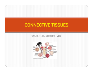 connective tissues - Sinoe Medical Association