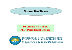 1 Connective Tissue Dr Amam
