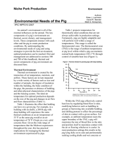 Environmental Needs of the Pig