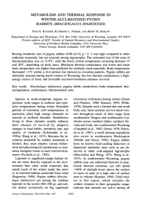 Metabolism and thermal response to changes in