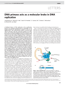 DNA primase acts as a molecular brake in DNA replication