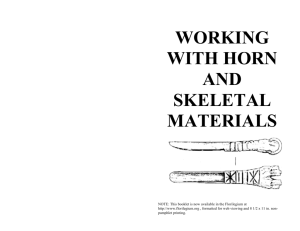 working with horn and skeletal materials