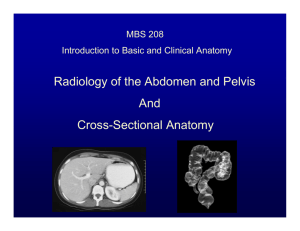 Radiology of the Abdomen and Pelvis And Cross