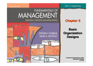 Chapter 5 Basic Organization Designs