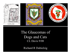 The Glaucomas of Dogs and Cats