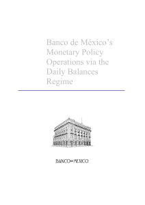 Banco de México's Monetary Policy Operations via the Daily