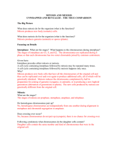 Mitosis and Meiosis: Unwrapped and Revealed