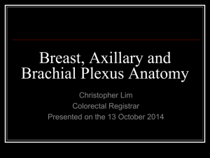 Breast, Axillary and Brachial Plexus Anatomy